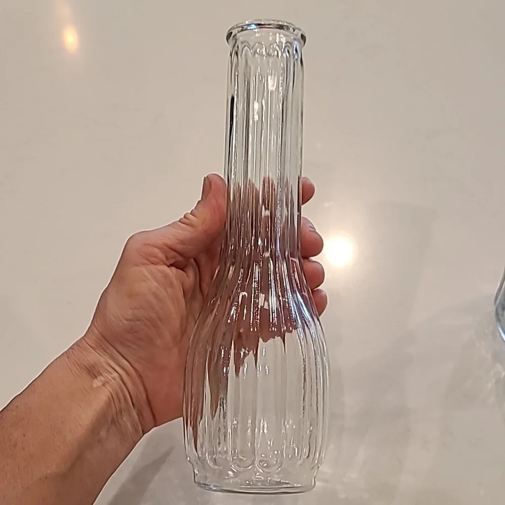 Elegant Clear Glass Vases - Set of 2